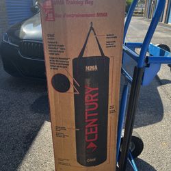 Boxing Bag