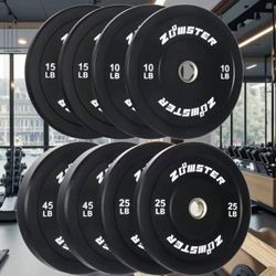 BumperWeight  Plate Set  of 190 Lbs. 45 25 15 10 Lb. Plates 