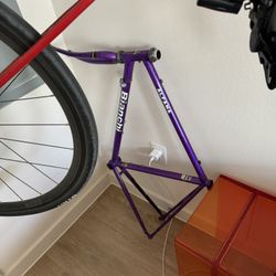 Purple Vintage Bianchi Frame