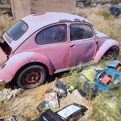 Vw Bug Not For Parts