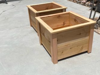 PLANTERS