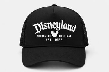 Disney Hat