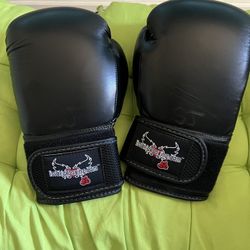 Kick Boxing Gloves SZ M. 14oz