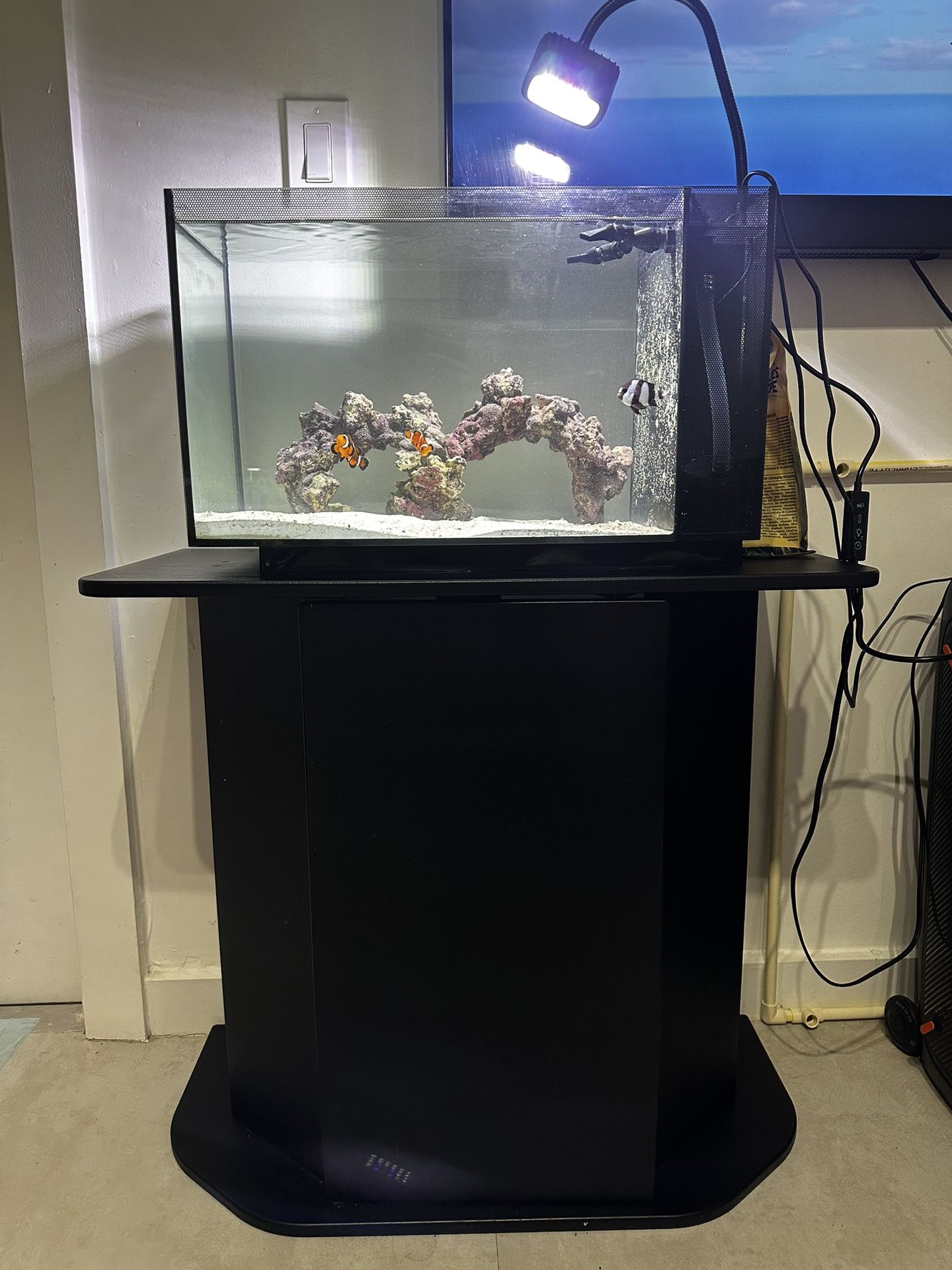 Fish tank Saltwater Aquarium 14 Gallons