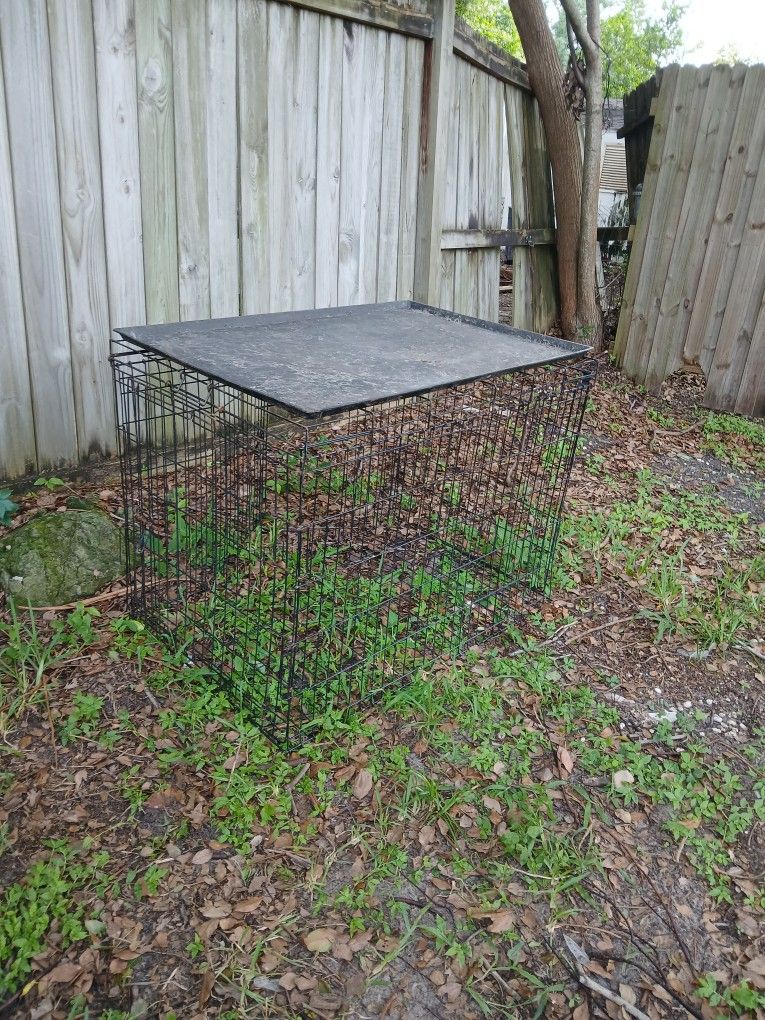 Dog Cage