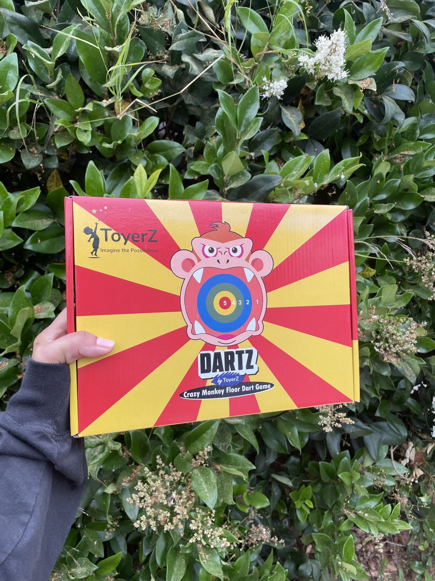 Crazy Monkey Dart Game