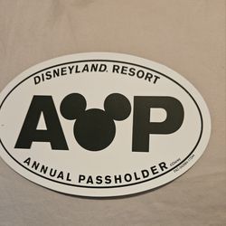 2 DISNEYLAND  MICKEY  MOUSE  A & P ANUAL PASSHOLDER LARGE 5.5" X 3.5 "  MAGNETS 