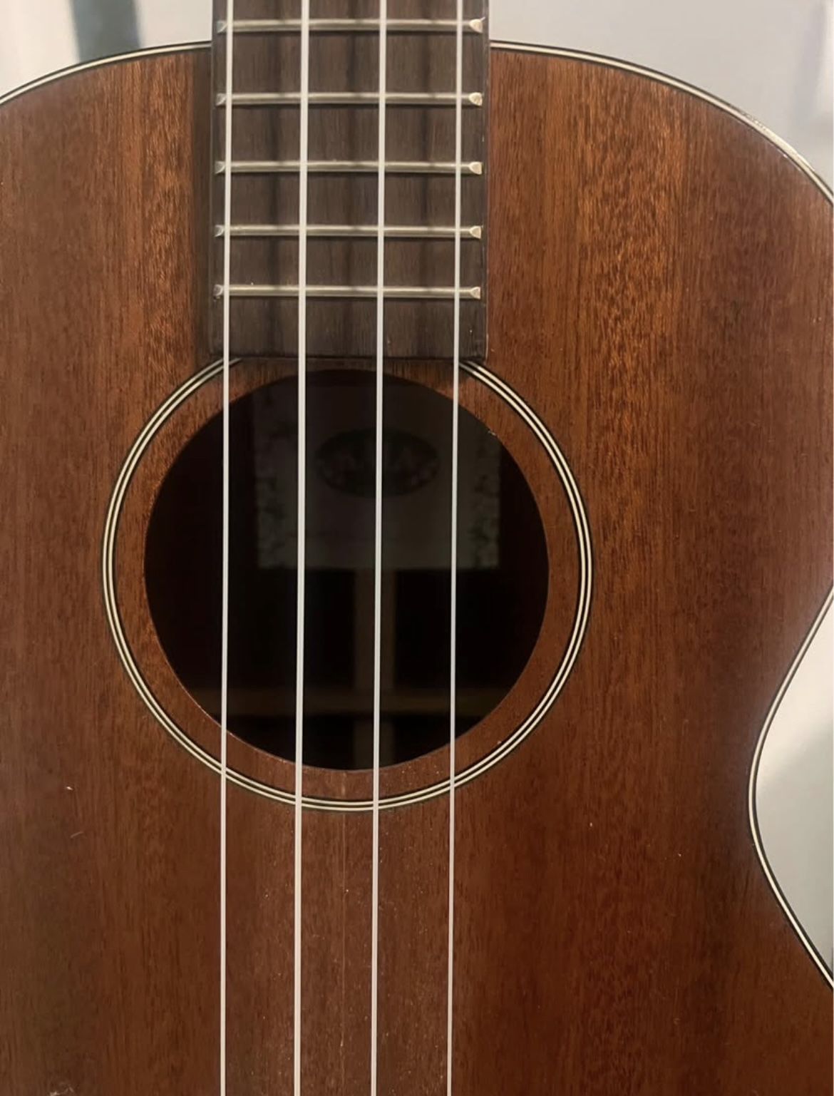 Ukulele Kala Like New With Accessories