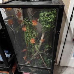Reptile Cage
