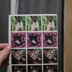 Vintage Current, Inc. Photo Jumbo Sticker Pack Animals