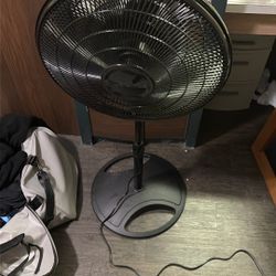 Selling Fan 