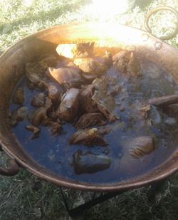 Carnitas