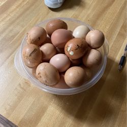 Eggs