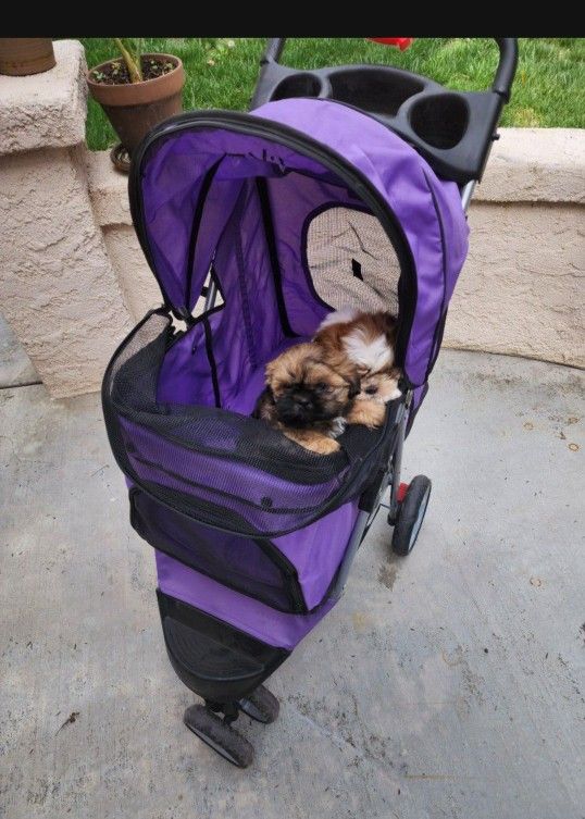 Dog Stroller 