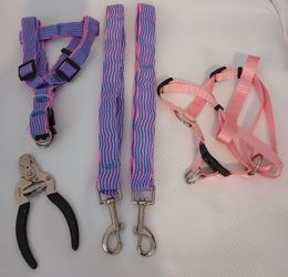 Puppy Leash, Harness and Nail Clippers