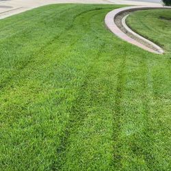 Cut Grass