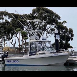 Sea Ox 230 Cuddy Cabin 