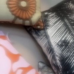 New Assortment Of Indoor Outdoor Throw Pillows 7/20 Dollar's Each High Grade Material 