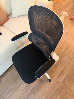 Ergonomic Mesh Office Chair with Armrests