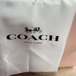 Purse With Wallet 
