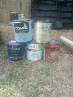Great Paint Unopened