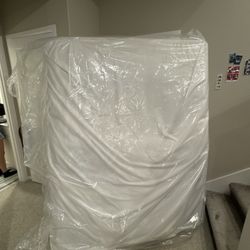 Queen Bed 2 Years Old