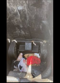 Trash bin fresh clean