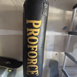 Pro Force Punching Bag