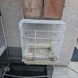 Bird Cage 