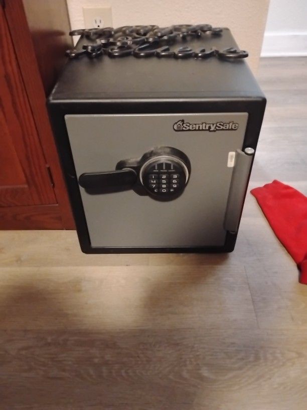 Sentry Safe