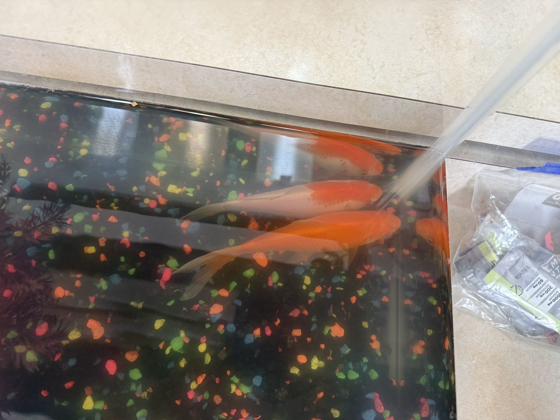 Fish Tank