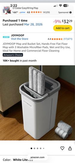 JOYMOOP Mop and Bucket Set