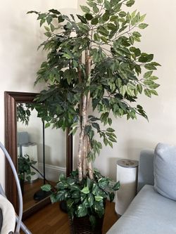 Artificial Tall Plant