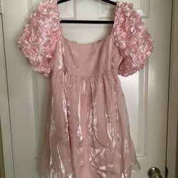 Pink Dress With Flower Sleeves, Size Large