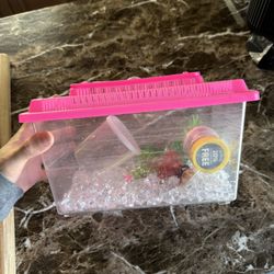 Fish Tank With Everything 