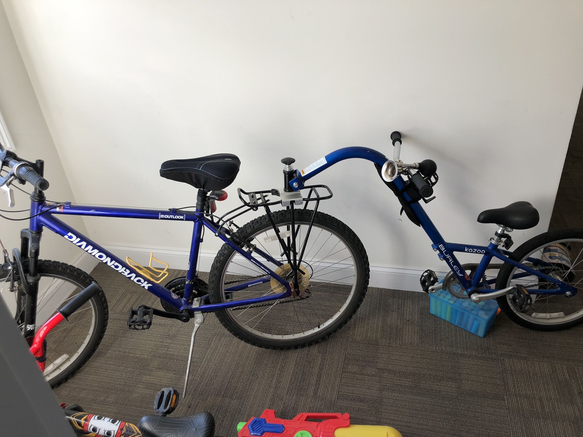 Tag A Long Bike