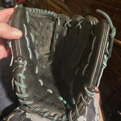 Easton PPX10B glove.