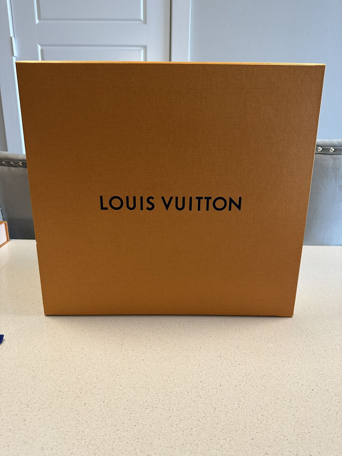 Louis Vuitton rain boots – Latex Valentina