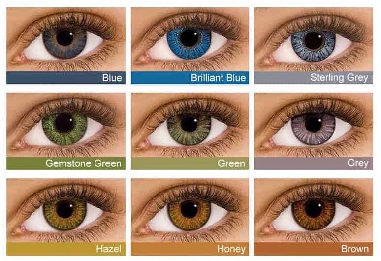 Contacts