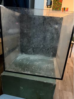 35 Gallon Rimless Tank w/ Sump Filter Included