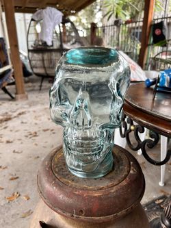 Glass Skull Skeleton