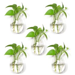 Wall Hanging Planters Glass Plant Pots Water