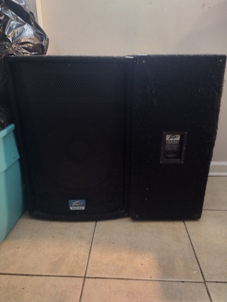 Speaker Peavey