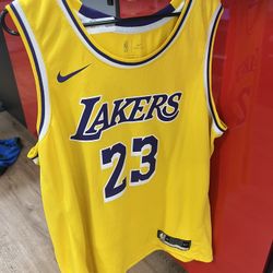 Lakers LeBron James Jersey 189662/12
