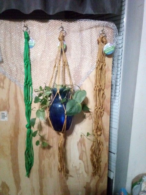 Macrame Plant Hangers