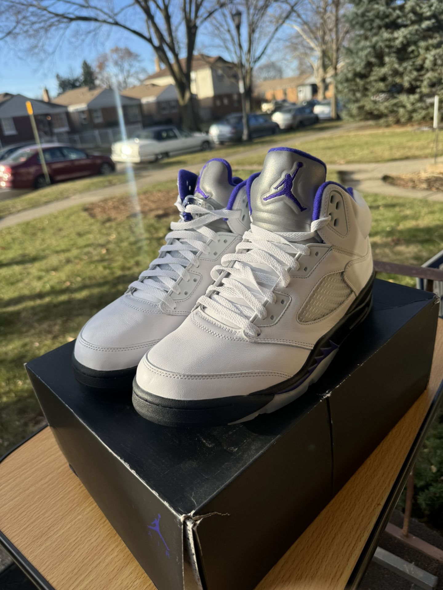 Jordan Retro 5 “Concord”