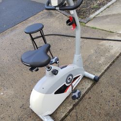 Schwinn 140 Fitness Machine