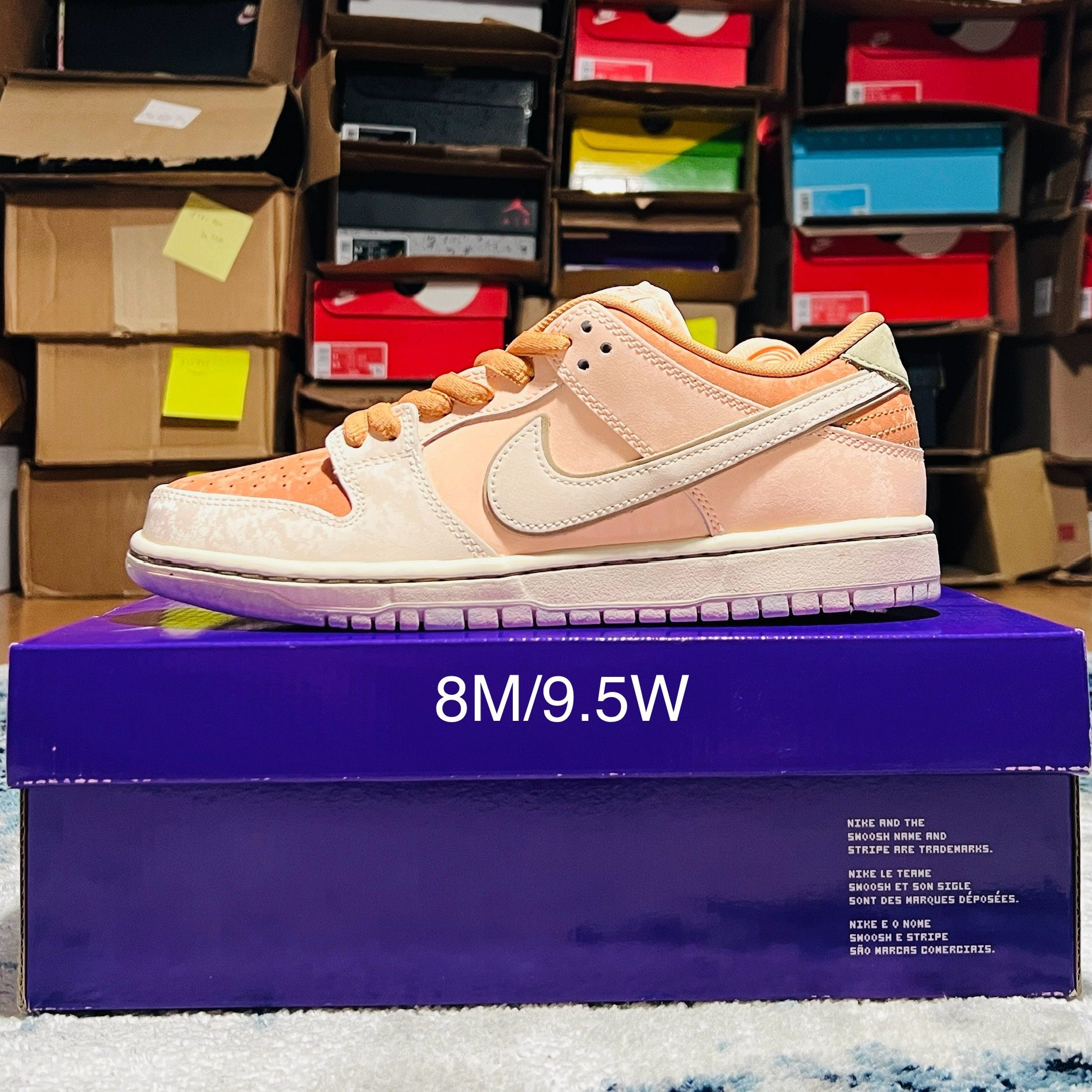 Nike SB Dunk Low Pro PRM 'Trocadero Gardens' Size FV5926