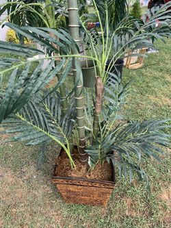 decorative palm 7”feet