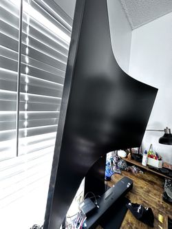 Samsung Monitor 55”